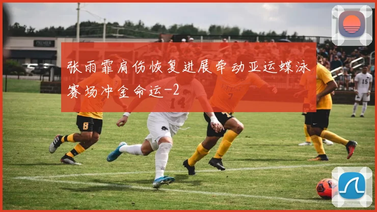 张雨霏肩伤恢复进展牵动亚运蝶泳赛场冲金命运