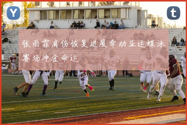 张雨霏肩伤恢复进展牵动亚运蝶泳赛场冲金命运